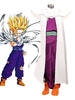 Cosplay comme Son Gōhan de Dragon Ball Déguisements Halloween