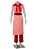 Cosplay Costume Chichi de Dragon Ball Déguisements Halloween