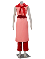 Cosplay Costume Chichi de Dragon Ball Déguisements Halloween