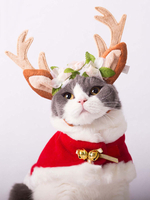 cosplay d