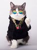 cosplay d