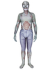 Costume dDéguisements Halloween Combinaison Unisexe Zentai Gris Lycra Spandex
