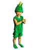 Costume d