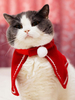 Costume de chat Halloween Costume d