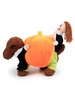 Costume de chien citrouille transportant des vêtements de chat orange Déguisements Halloween Costumes pour animaux de compagnie