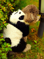 Costume de chien de Déguisements Halloween Costumes en peluche à capuche blanche et noire Déguisements Halloween