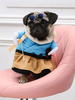 Costume de chien Déguisements Halloween robes bleues Vêtements de chat Costumes pour animaux de compagnie