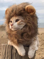 Costume de chien Halloweem Lion Mane perruque Brown fausse fourrure Cat Costumes Déguisements Halloween
