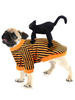 Costume de chien Halloween Orange Vêtements chat noir Polyester Pet Supply