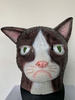 Costume de Cosplay chapeaux de chat en colère Halloween