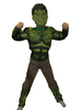 Costume enfant hulk en romanknit vert foncé Déguisements Halloween