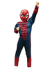 Costume enfant spiderman en romanknit encre Bleu Déguisements Halloween