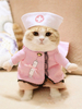 Costume pour animaux de compagnie Infirmière Rose Chapeau Vêtements Vêtements pour animaux de compagnie Déguisements Halloween