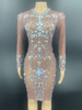 Costumes de danse jazz pour femmes Lycra Spandex Dress Chestnut Dancing Wear
