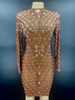 Costumes de danse jazz pour femmes Lycra Spandex Dress Light Brown Dance Wear