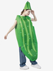 Costumes d