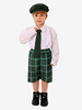 Costumes Marchandises de vacances Costumes de vacances Plaid de Noël Fibre de polyester vert