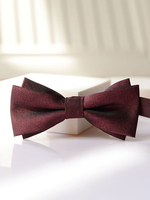 Cravate Nœud Habillée Pour Homme Bordeaux Vintage Chic En Polyester Élégant