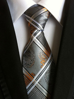Cravates gris argent cravate chic de jacquard hommes