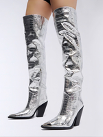 Cuissardes Argentées Femmes Bout Pointu Talon Épais Bottes Hautes