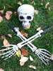 Décorations dHalloween Armwear Blanc Crâne En Plastique Squelette Mains Accessoires