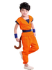 Déguisement enfant Dragon Ball costume cosplay de Son Goku Déguisements Halloween