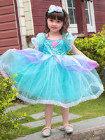Enfant Princesse Cosplay Costume 2 Pièces Bleu Robe Coiffure Ensemble Cadeau Noël Fille Princesse Robe Cosplay Halloween