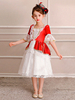 Enfants Cadeau Noël Rétro Costume Halloween Filles Robe Rococo Royale Dentelle Blanche Demi Manches Robes Vintage Déguisement