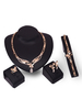 Ensemble de bijoux en or parti déclaration strass collier boucles doreilles bague bracelet