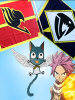 Fairy Tail Cosplay Drapeau Japonais De La Guilde Des Animes Saber Tooth Déguisements Halloween