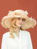 Fascinator Hat Vintage Royal Large Brim Or Organza Headpieces Accessoires de cheveux rétro Déguisements Halloween