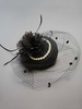 Femmes Fascinator Hat Black Flapper Plumes Net Perles Chapeaux Accessoires de cheveux Vintage Déguisements Halloween
