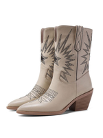 Femmes pointues de bottines d\