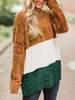 Femmes Pull Pull Café Marron Couleur Bloc Jewel Neck Manches Longues Polyester Pulls