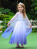 Frozen 2 Elsa la Reine des Neiges Robe conte de fées Cosplay robe bleu ciel clair enfants Cosplay Costumes