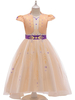 Frozen Enfants Cartoon Cosplay Cosplay Champagne Princess Robe Été Enfants Costumes Cosplay