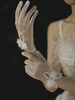 Gants de mariage Accessoires courts Gants de mariée en dentelle de tulle