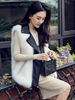 Manteau en Fausse Fourrure Femme à Col Revers Sans Manches Gilets Bicolores