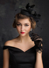 Mariage noir coiffes plumes Tulle Birdcage voile bandeaux