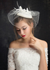 Mariage royal chapeau plume Tulle Birdcage voile coiffes de mariées (15 Cm X 15 Cm)