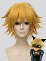 Miraculous Tales Of Ladybug Cat Noir Cat Noir Cosplay Perruque 2021 Costume Déguisements Halloween