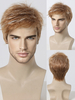 Perruque Pour Homme Brune Courte Accessoire Naturelle Cosplay