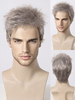 Perruque Pour Homme Grise Droite Courte Accessoire Naturelle Cosplay