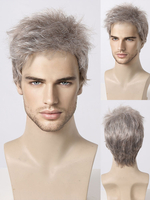 Perruque Pour Homme Grise Droite Courte Accessoire Naturelle Cosplay
