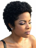 Perruque Synthétique Courte Femme Afrique Invisible Prothèse Capillaire Noir Frisée