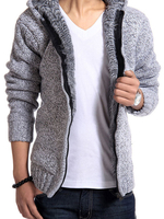 Pulls Homme Pulls Tricots Capuche Automne Gris Clair Pullovers