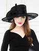 Retro Hat Déguisements Halloween Costume Accessoires Femmes Noir Casquettes Royal Organza