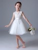 Robe Cortège Fille 2021 Ivoire Dentelle Sans Manches Longueur Genou Enfants Formel Robe de Soirée