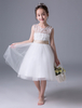 Robe Cortège Fille 2021 Ivoire Princess Robe Tutu Dentelle Dos Ouvert Sans Manches Longueur Genou Robe de Soirée Enfants
