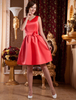 Robe de demoiselle d